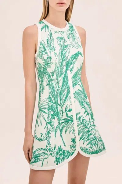 Alexis - Trunkshow Helina Dress In Verde Palm In Gray