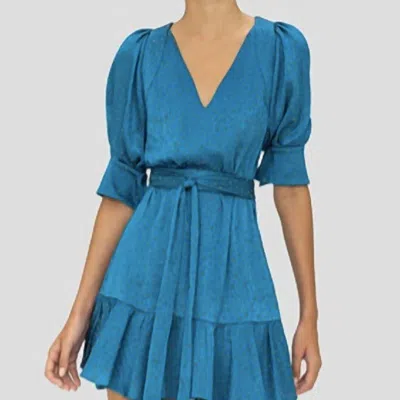 Alexis Max Mini Dress In Blue