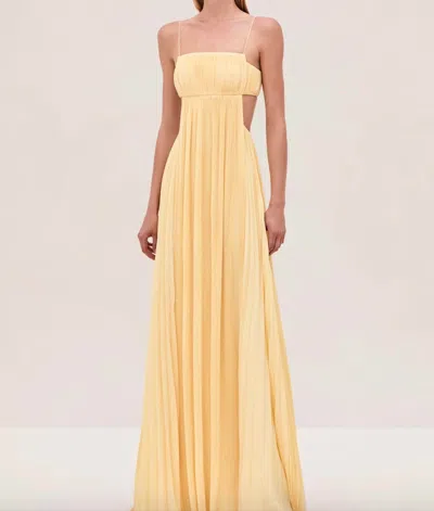 Alexis Varranza Dress In Yellow