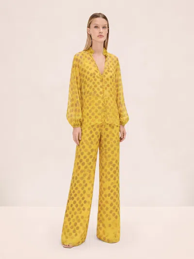 Alexis Verde Pant In Yellow