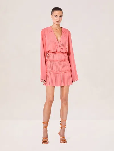 Alexis Vitoria Top In Pink