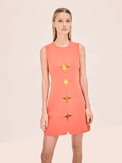 Alexis Winnie Dress In Brown