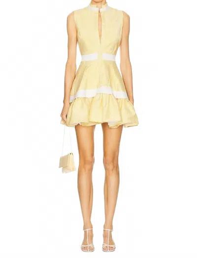 Alexis Women's Natacha Dress In Yellow Stripe In Nude