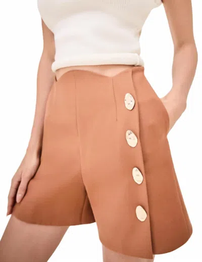 Alexis Xander High Waist Short In Copperwood In Brown
