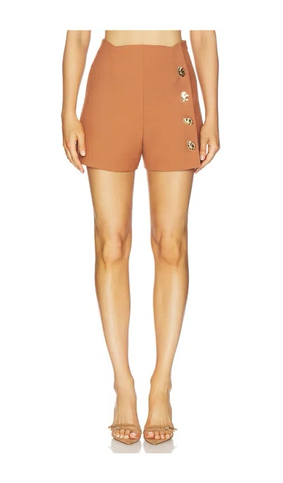 Alexis Xander Shorts Copperwood In Brown