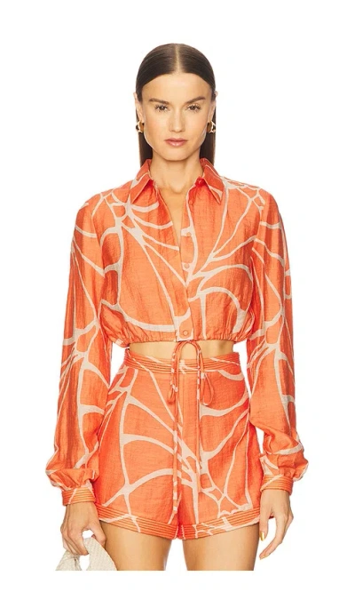 Alexis Yael Top In Orange
