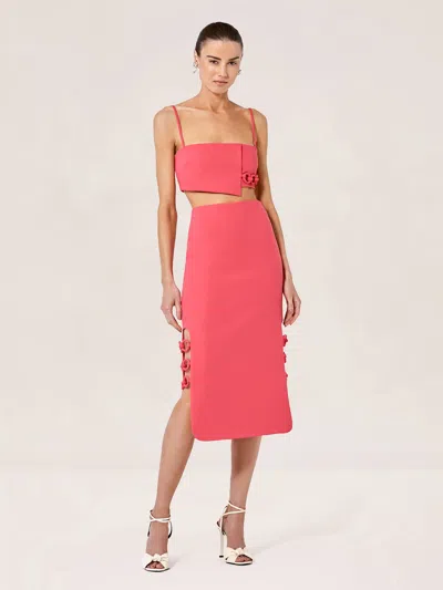 Alexis Zola Top In Pink