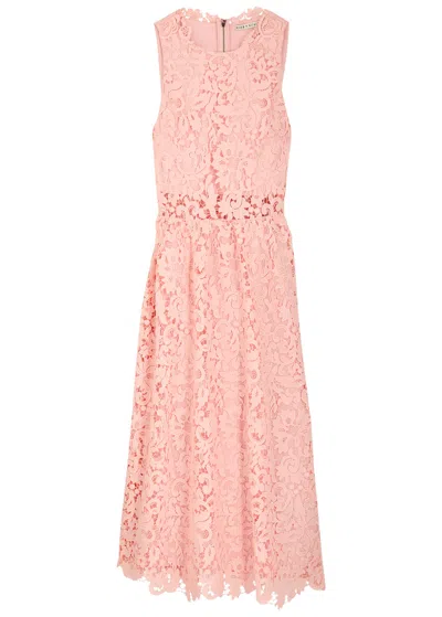 Alice And Olivia Babette Floral Lace Midi Dress