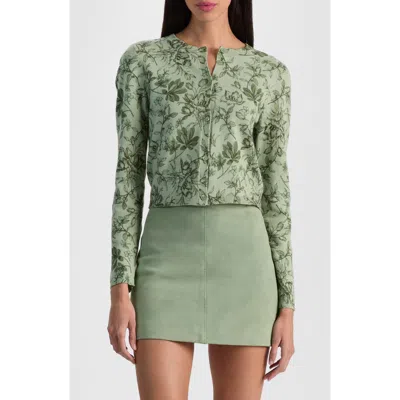 Alice And Olivia Dollie Cardigan Mystic Garden Sage In Green