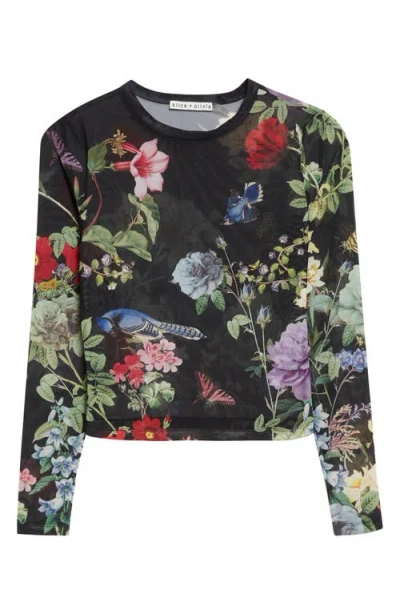Alice And Olivia Alice + Olivia Delaina Sheer Mesh Crop Top In Multi