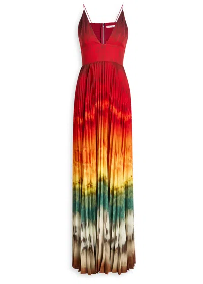 Alice And Olivia Alice + Olivia Lauren Printed Chiffon Maxi Dress