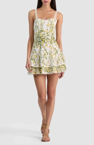 Alice And Olivia Meredith Sweetheart Drop Ruffle Flare Mini Dress In Multi