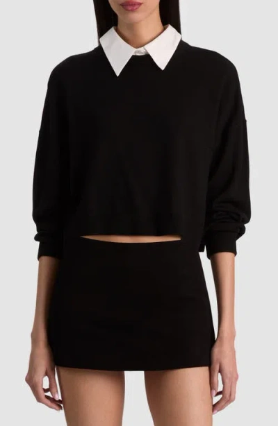 Alice And Olivia Alice + Olivia Rhett Wool Sweater With Detachable Collar In Black