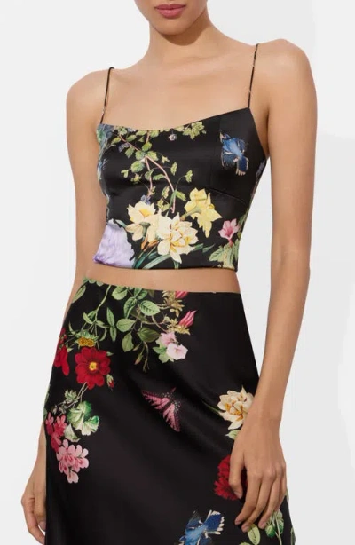 Alice And Olivia Alice + Olivia Saylor Bustier Crop Camisole In Black