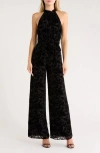 Alice And Olivia Alice + Olivia Thelma Halter Jumpsuit In Black