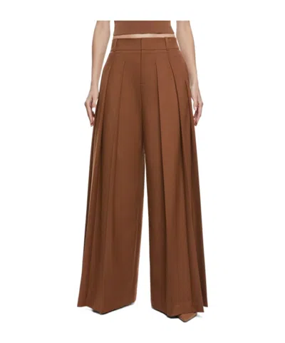 Alice And Olivia Belt-loop Casual Pants In Brown