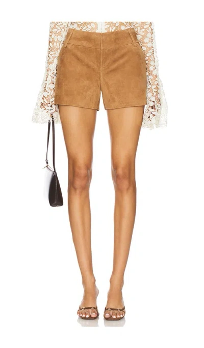 Alice And Olivia Cady Suede Short In Brown