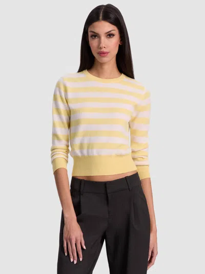 Alice And Olivia Carolann Cashmere Shrunken Pullover In Yellow