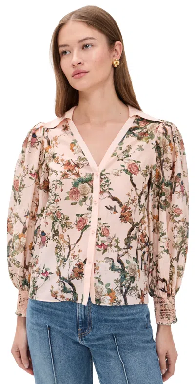 Alice And Olivia Charis Long Sleeve Button Down Blouse Sunset Grove English Rose In Multi