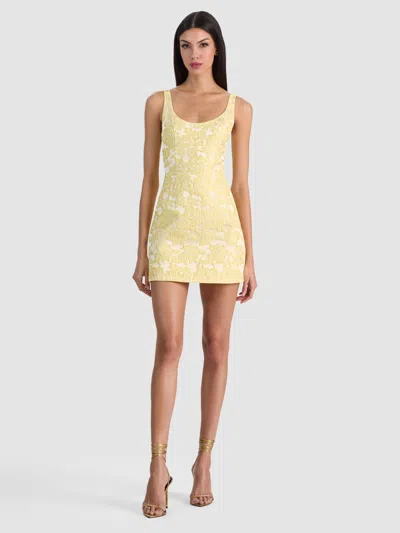 Alice And Olivia Charlotte Mini Dress In Butter