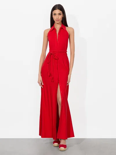 Alice And Olivia Chassidy Halter Maxi Dress