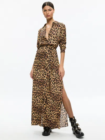 Alice And Olivia Chassidy Maxi Shirt Dress In Brown