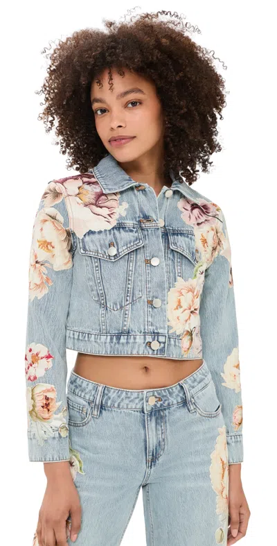 Alice And Olivia Chloe Applique Denim Jacket Sierra Vintage Multi