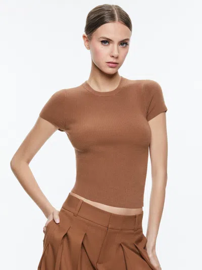 Alice And Olivia Short-sleeve Knitted Top In Camel