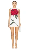 ALICE AND OLIVIA CLYDE DRESS