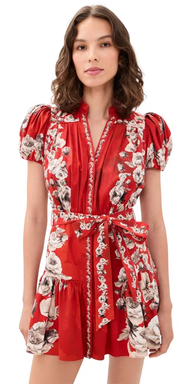 Alice And Olivia Cora Tiered Mini Shirt Dress Rose Garden Lg Hibiscus In Animal Print