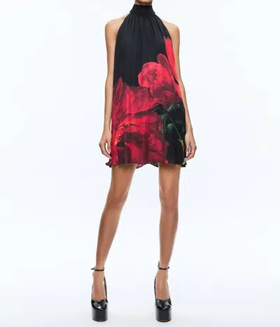 Alice And Olivia Corine Halter Tie Neck Trapeze Mini Dress In Peony Petals Bright Ruby In Black