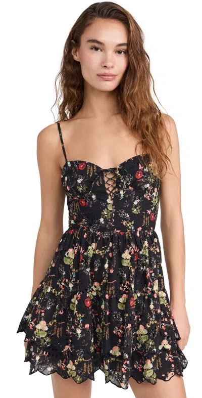 Alice And Olivia Tiered Floral-print Broderie Anglaise Cotton Mini Dress In Black