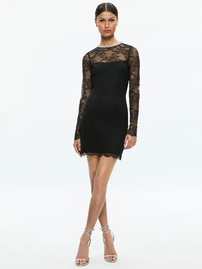 Alice And Olivia Delora Embellished Neck Long Sleeve Lace Mini Dress In Black