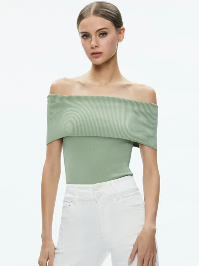 Alice And Olivia Dolan Pullover In Sage