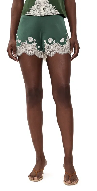 Alice And Olivia Elissa Lace Shorts Dark Fern In Green
