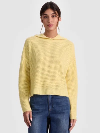 Alice And Olivia Emmanuelle Cashmere Hoodie In Yellow