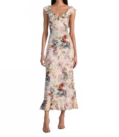 Alice And Olivia Gemma Midi Dress In Sweet Peony In Multi