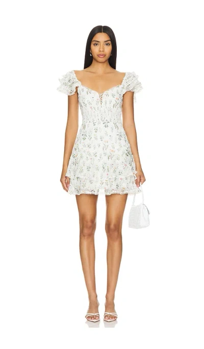 Alice And Olivia Hartford Mini Dress In Georgia Floral