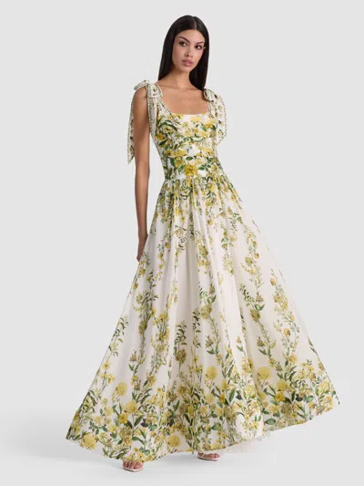 Alice And Olivia Haven Flared Maxi Dress In Multi