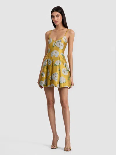 Alice And Olivia Isabelle Mini Dress