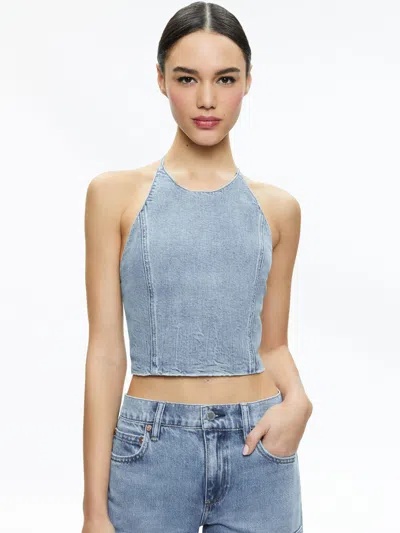 Alice And Olivia Jaymee Tie Neck Cropped Halter Top In Georgia Vintage Blue