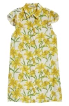 Alice And Olivia Jem Floral Flutter Sleeve Mini Shirtdress In Stargazer Multi
