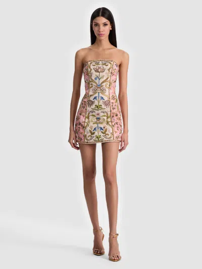 Alice And Olivia Katia Embroidered Mini Dress In Multi