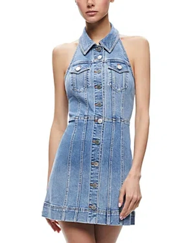 ALICE AND OLIVIA ALICE AND OLIVIA KENDALL DENIM MINI DRESS