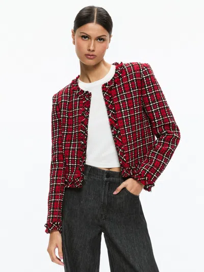 Alice And Olivia Kidman Jacket