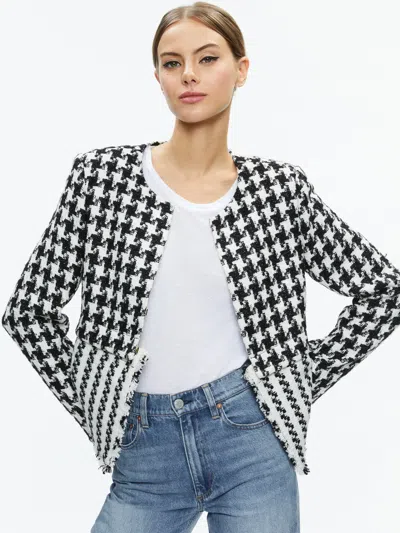 Alice And Olivia Kidman Two-fer Tweed Jacket In White