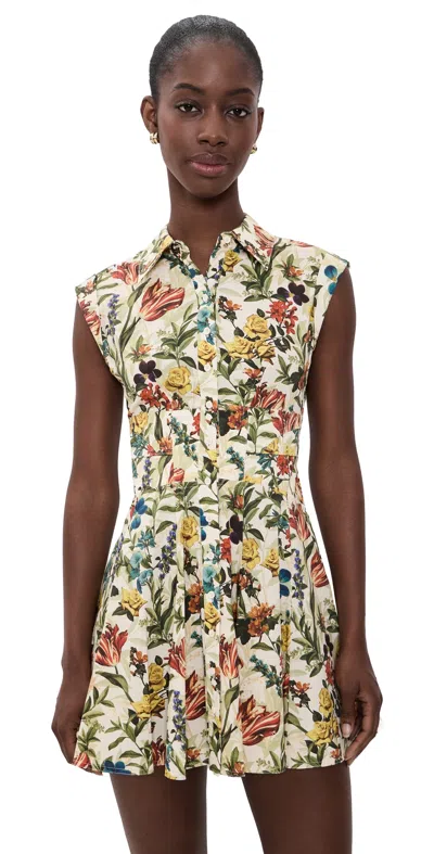 Alice And Olivia Kim Paneled Corset Flared Mini Shirt Dress Desert Springs Vanilla In Multi