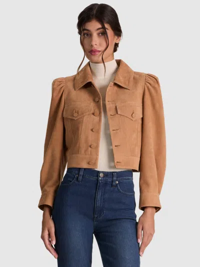 Alice And Olivia Lana Suede Jacket In Brown