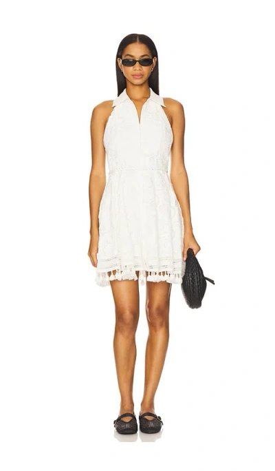 Alice And Olivia Lucy Halter Mini Dress
