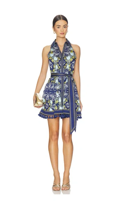 Alice And Olivia Lucy Halter Neck Mini Shirt Dress In Multi